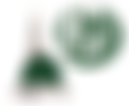 Central Jamia Masjid Southall | Charici