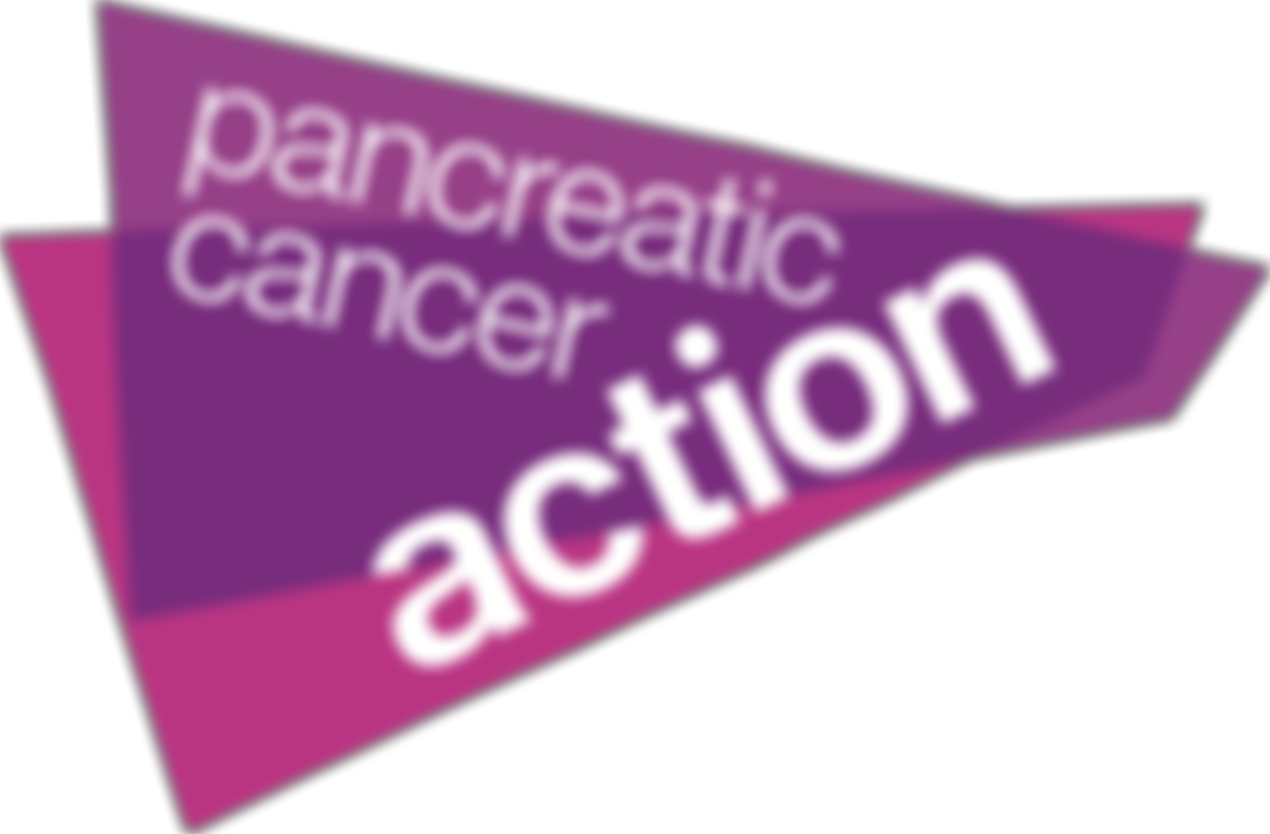 Pancreatic Cancer Action | Charici