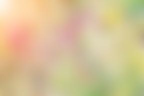 Burnet Heritage Trust | Charici