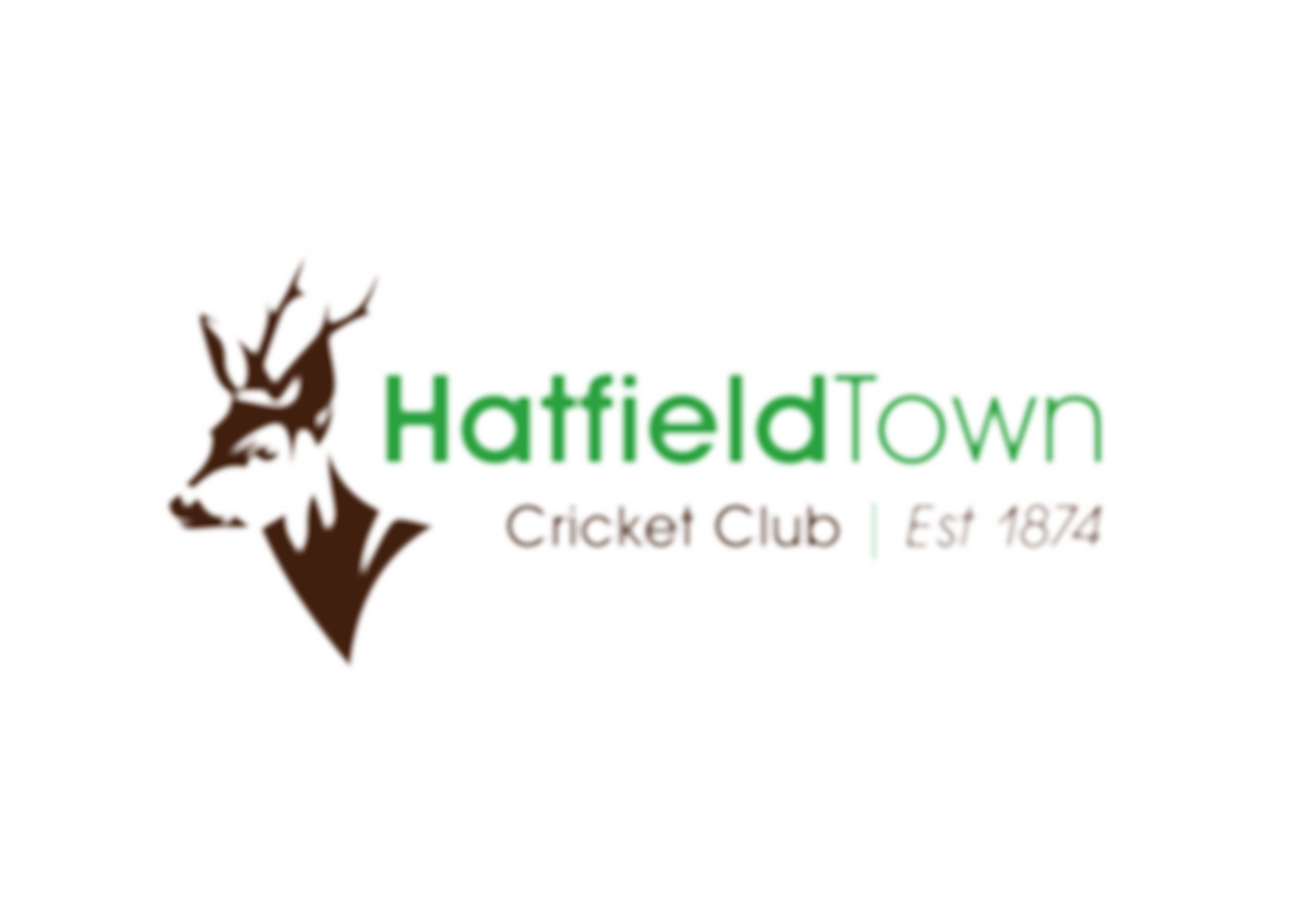 Hatfield Town Cricket Club | Charici