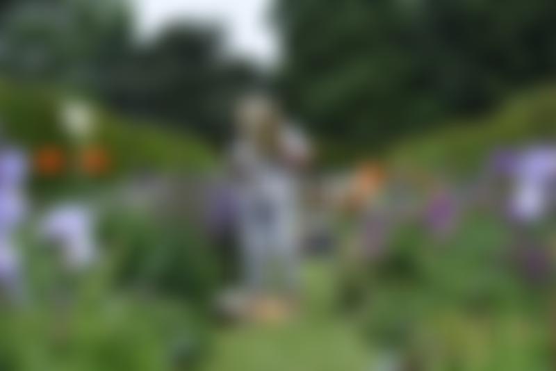 Broadway Arts Festival Trust | Charici