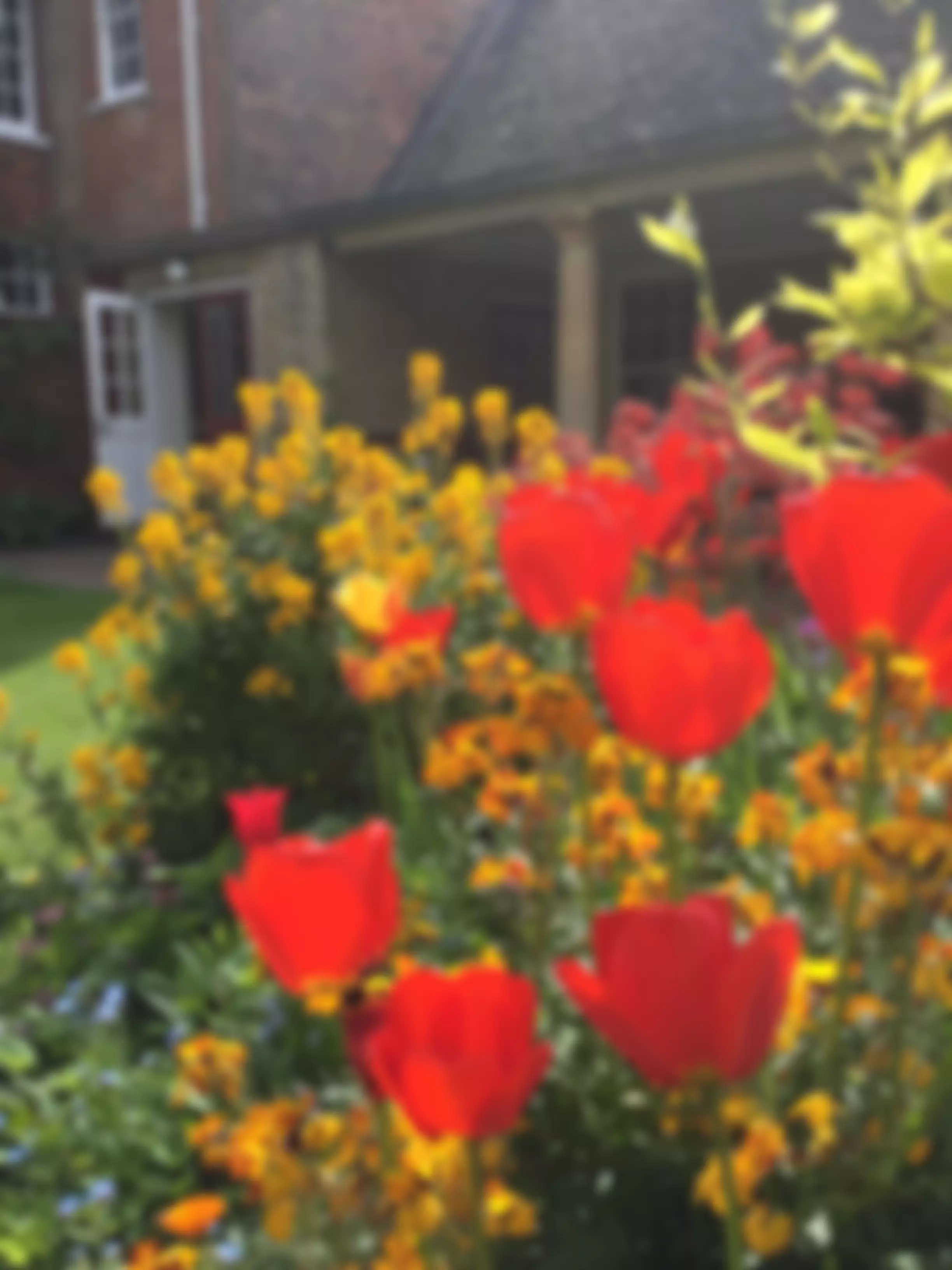 Oxford And Swindon Area Quaker Meeting Of The Religious Society Of Friends (Quakers) In Britain | Charici