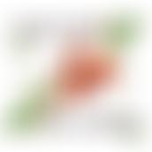 Little Oak Pre-School (Witney) Limited | Charici