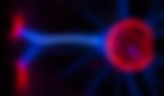 William Campbell-Taylor | Charici