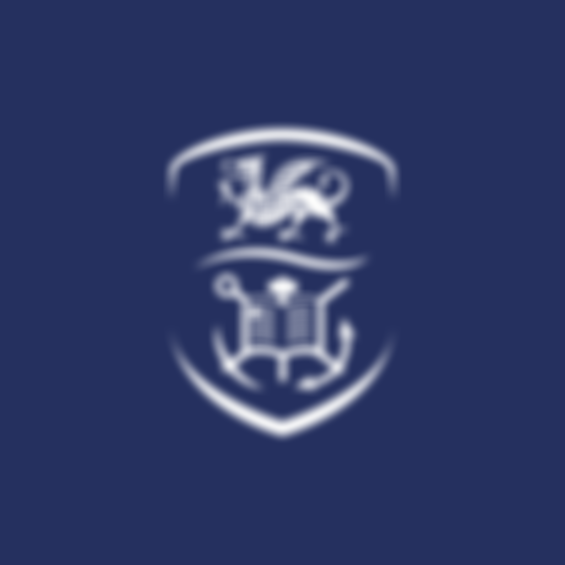 Swansea University | Charici