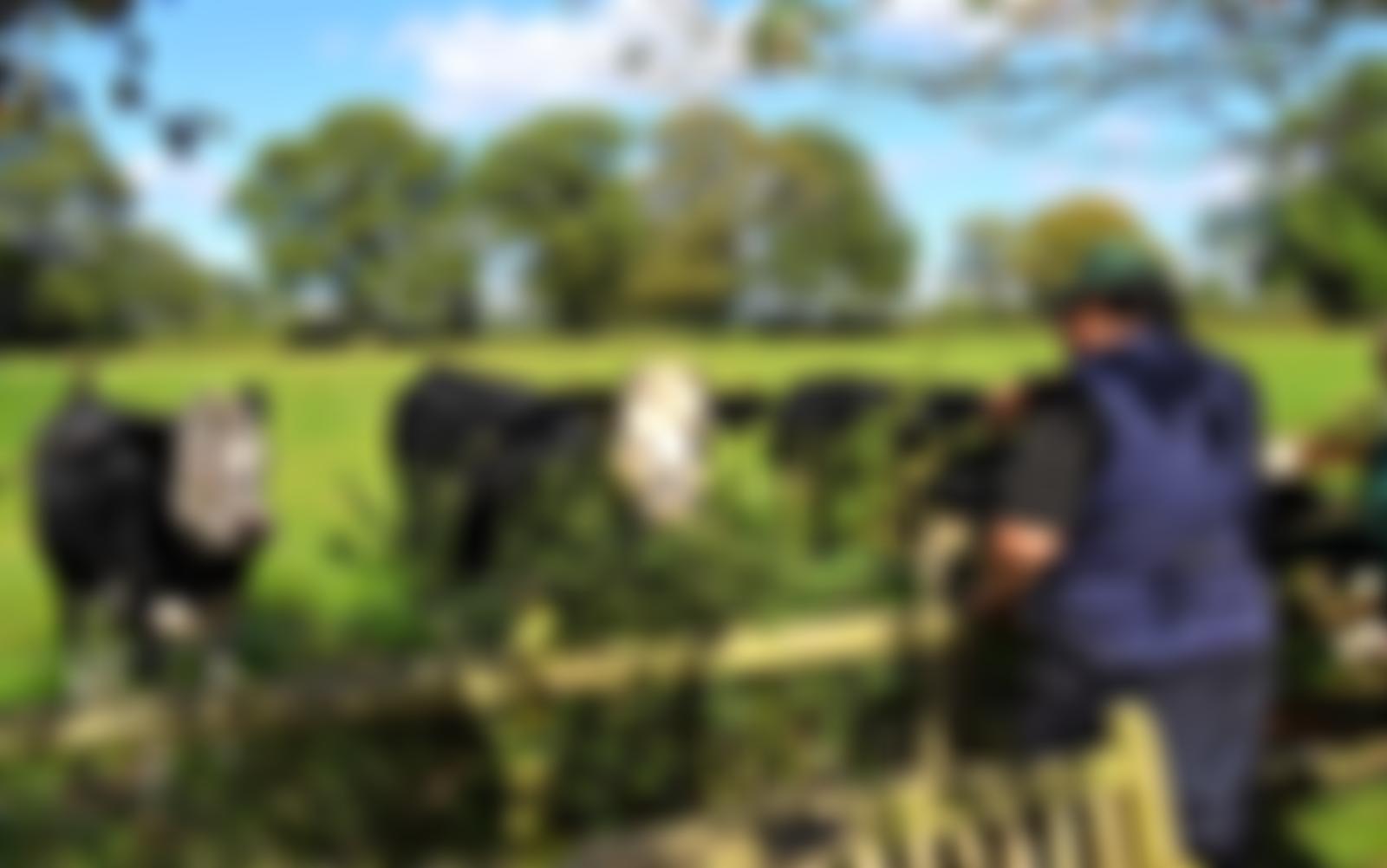 Oak Tree Farm Rural Project Limited | Charici