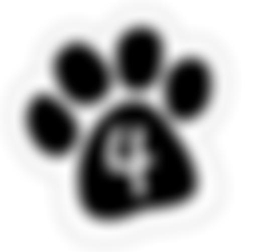 Four Paws Cat Rescue | Charici
