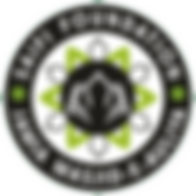 Saifi Foundation | Charici