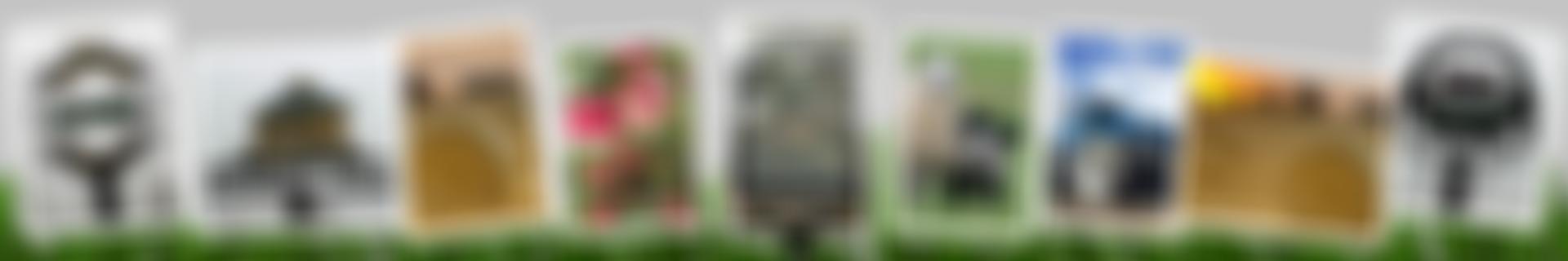 The Middle Pit And Tholomas Drove Wash Pit Fund | Charici