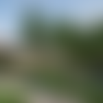 The London Pathway | Charici