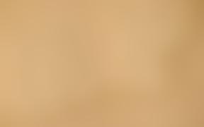 The Ptfa Of St. Anthony's Rc Primary School, Anerley | Charici