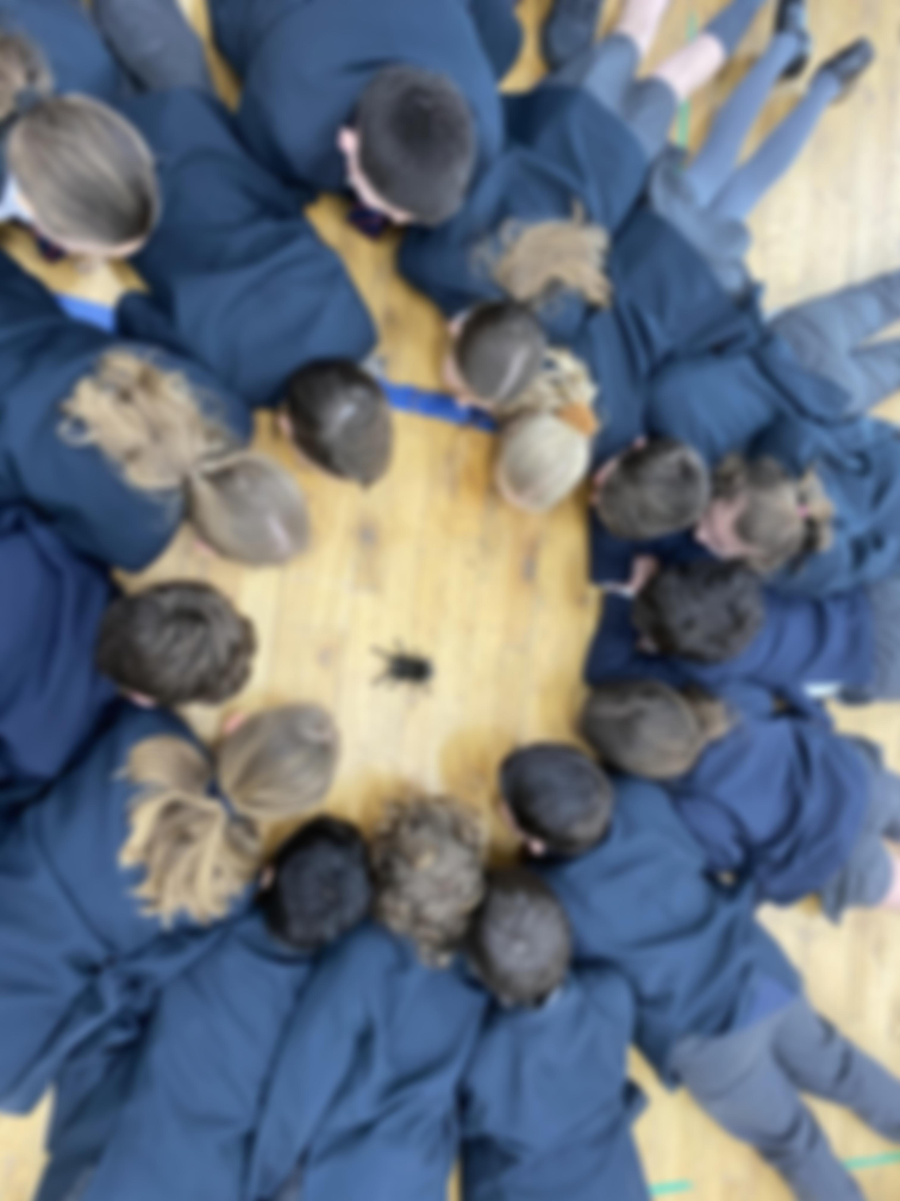 Sytchampton Endowed Primary School Pta | Charici