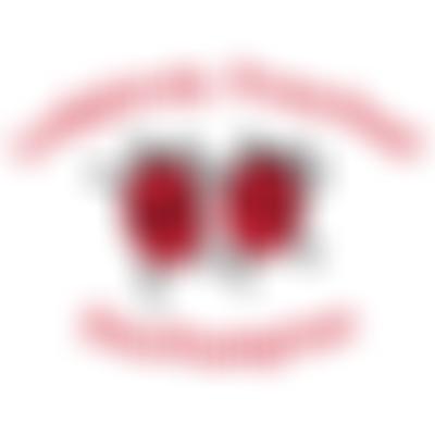 Ladybirds Pre-School Southampton | Charici