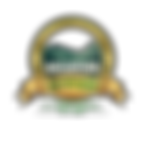 The Friday Apostles St John's Church Of God | Charici