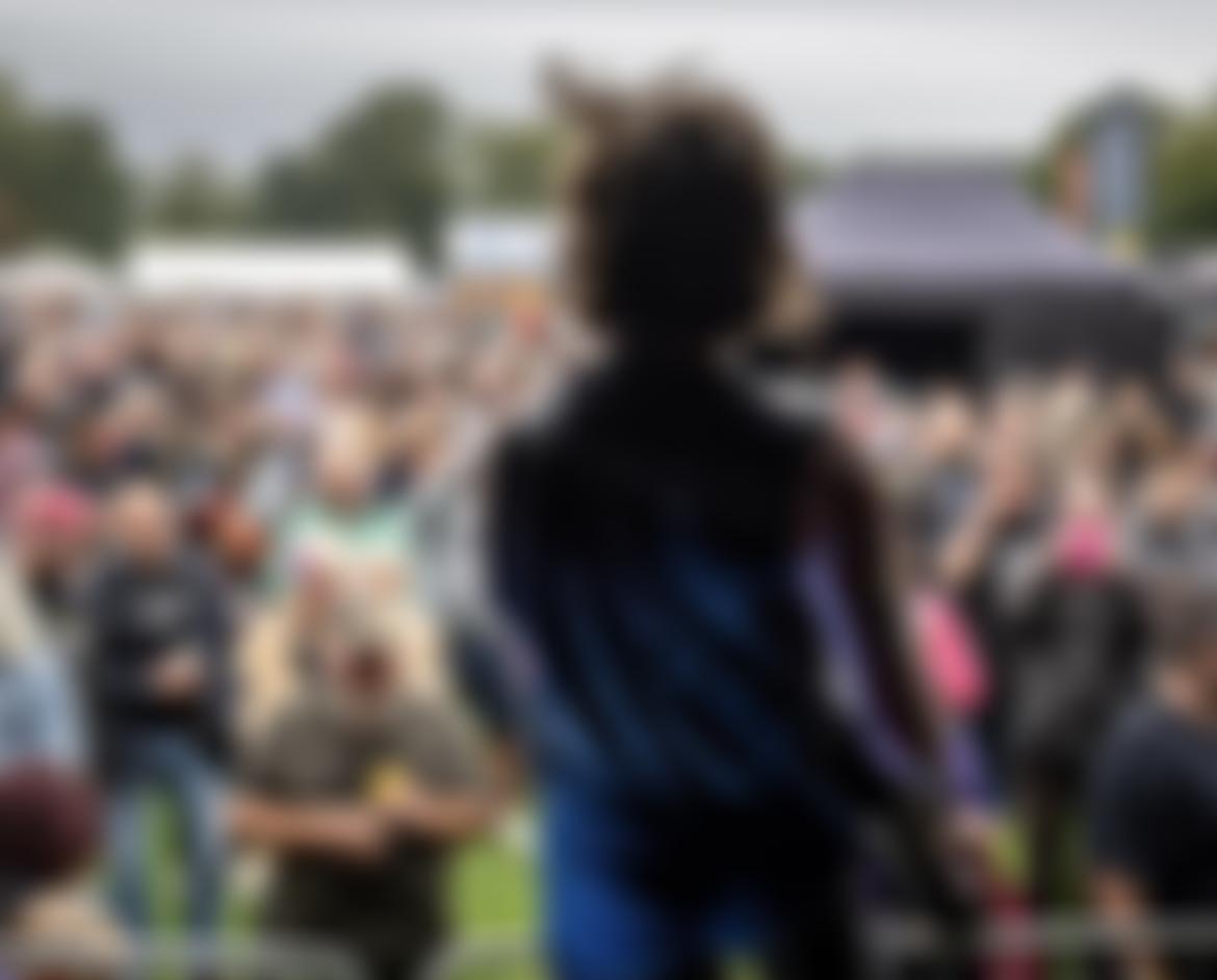 Saltaire Community Festival | Charici