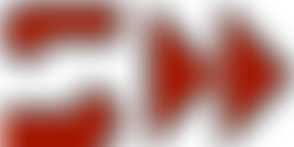 Southampton Forward | Charici