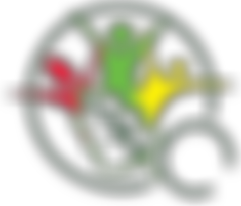 Oak Field School Fund | Charici