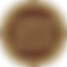 Cambrian Heritage Railways Limited | Charici