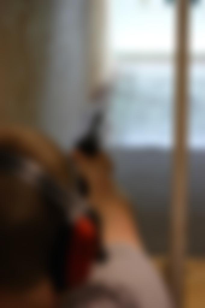 Pinhoe Rifle Club | Charici