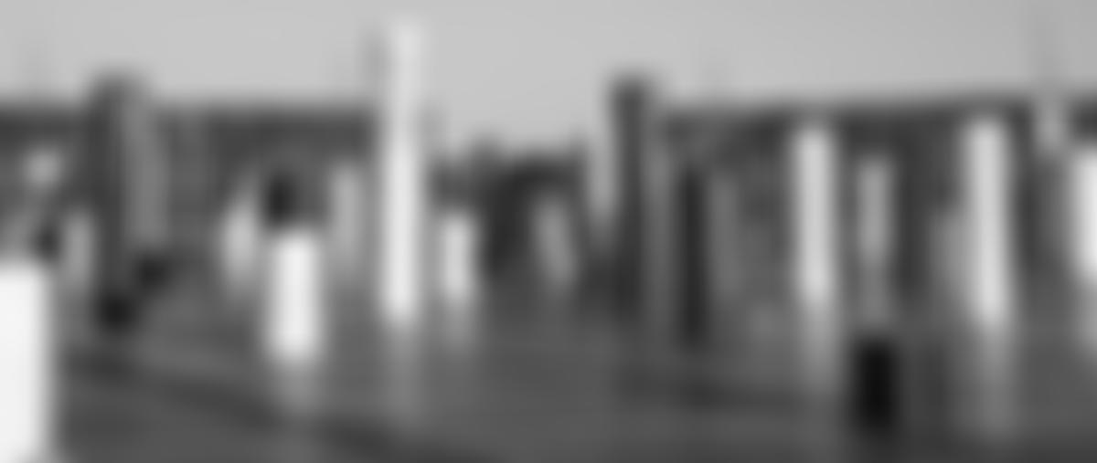 The Milton Keynes Rose Trust | Charici