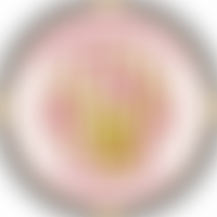 Stevenage Football Club Foundation Ltd | Charici