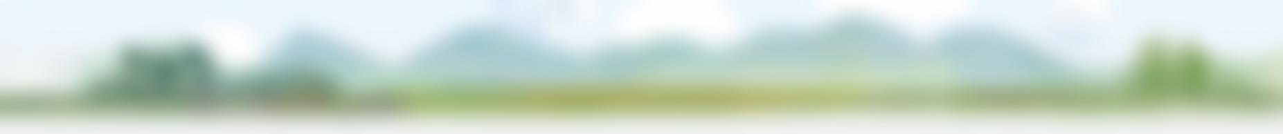 Natural Beekeeping Trust | Charici