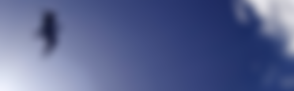 The Cancer Foundation Ltd | Charici