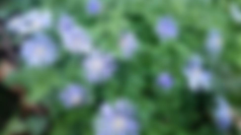 National Foundation For Giving Voice | Charici