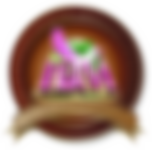 International Breakthrough Ministries | Charici