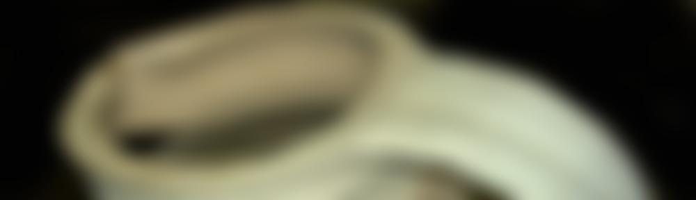 The Orpington And District Archaeological Society | Charici