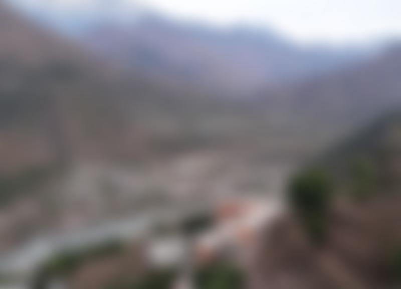 Tayyib Foundation | Charici