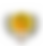 Kerala Community Supplementary School, Ipswich | Charici