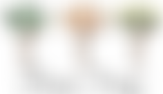 Three Trees Community Centre | Charici