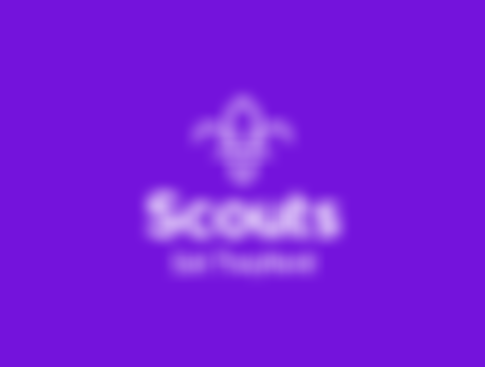 1St Twyford Scout Group | Charici