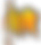 Musicmakers Of Milton Keynes | Charici