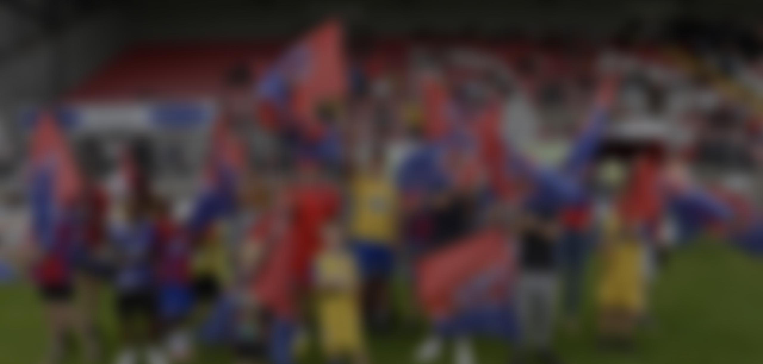 Dagenham And Redbridge Fc Community Trust | Charici