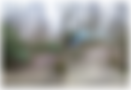 Cross In Hand Amenities Society | Charici