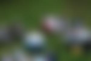 Woodlands Quaker Home | Charici