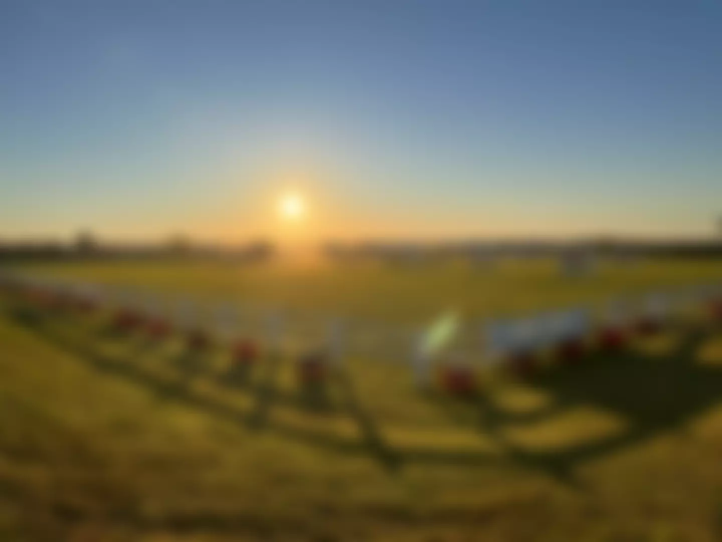 Stithians Agricultural Association Limited | Charici