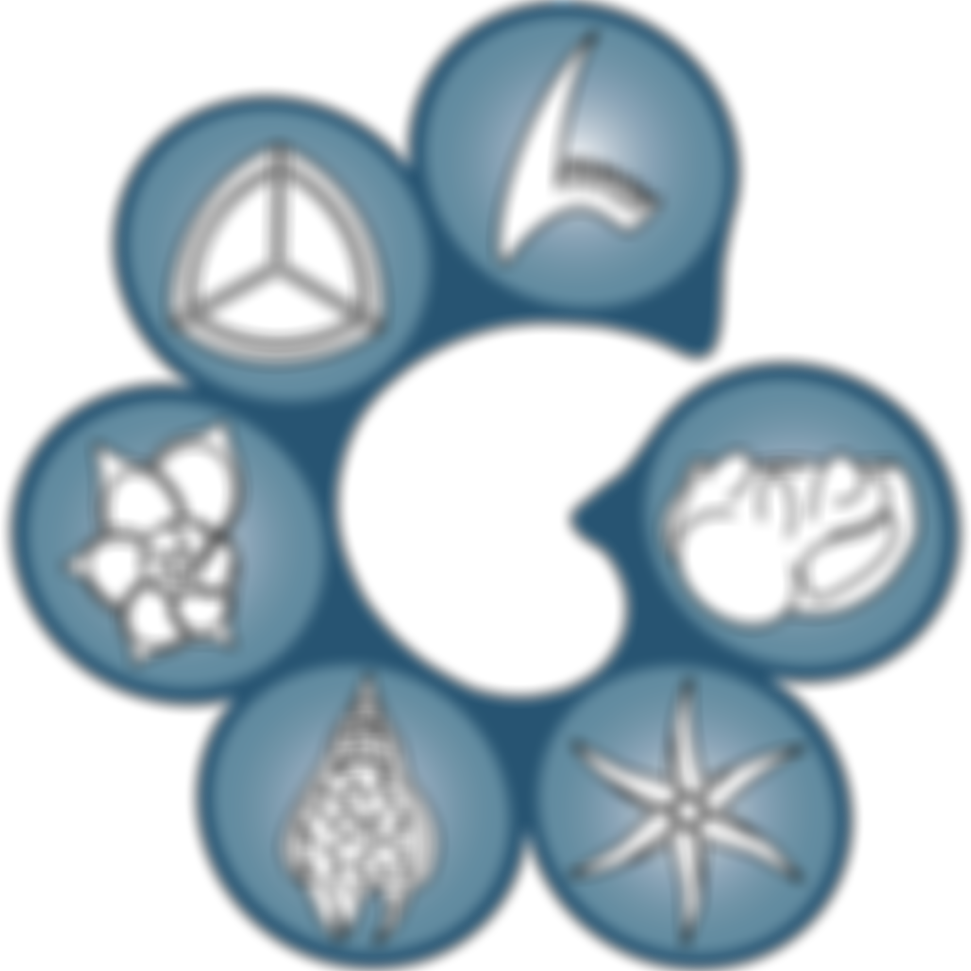 The Micropalaeontological Society Educational Trust | Charici