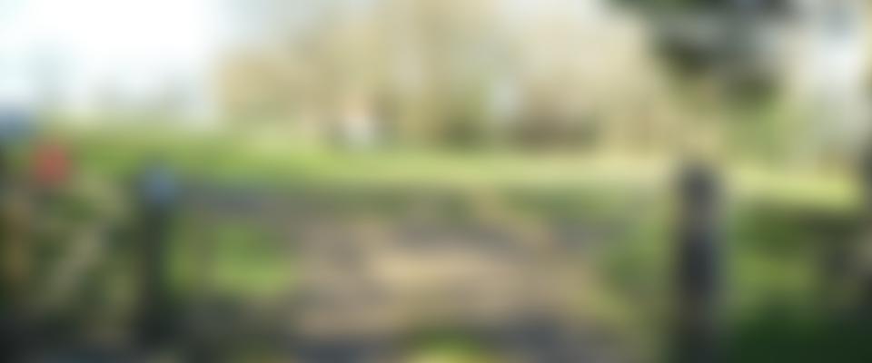 Hadlow Down Playing Field | Charici