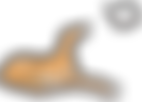 Daybreaks Trust | Charici