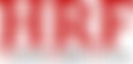 Human Rights Focus | Charici