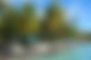 Action Bequia | Charici