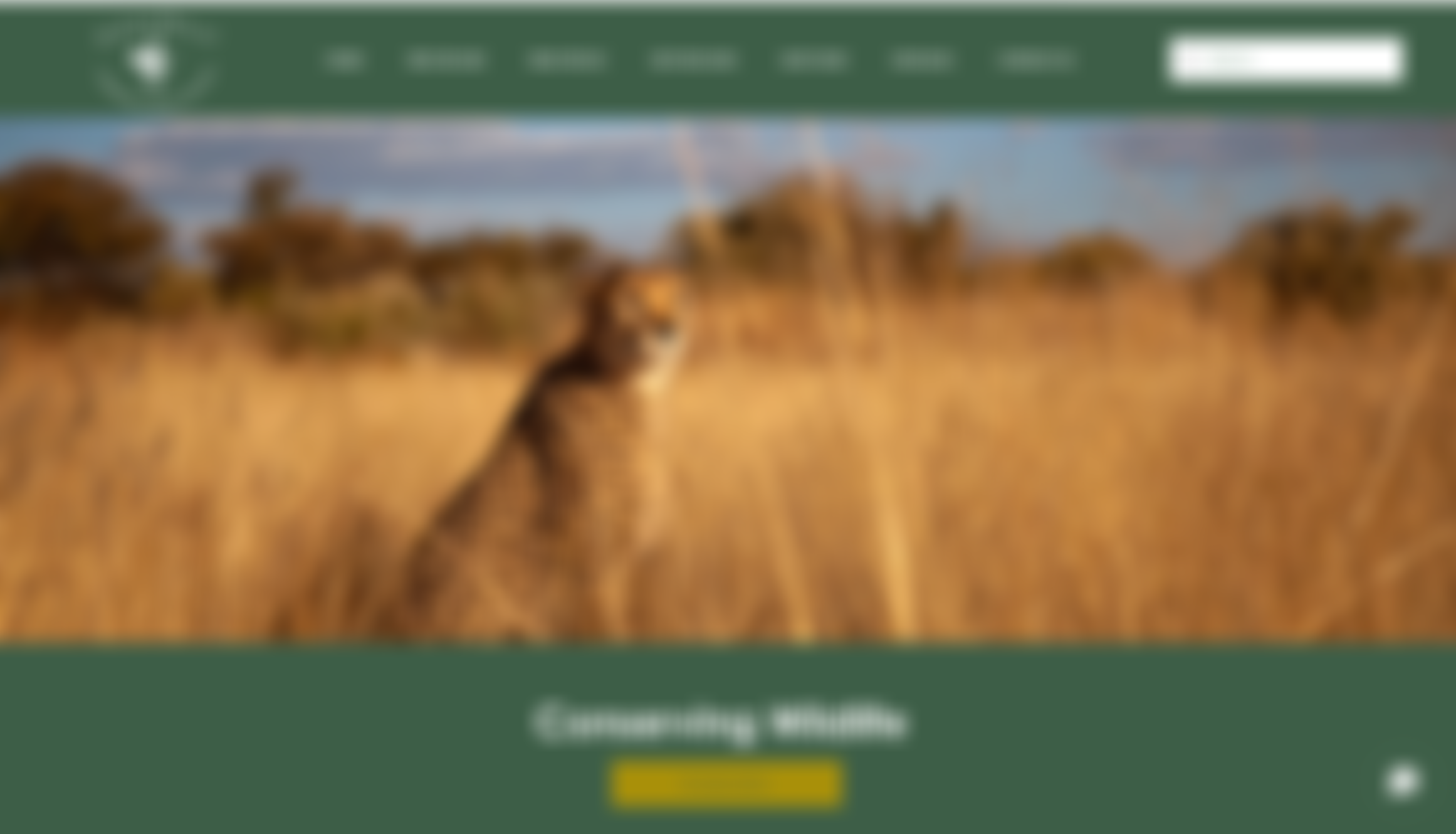 N/A'an Kuse | Charici