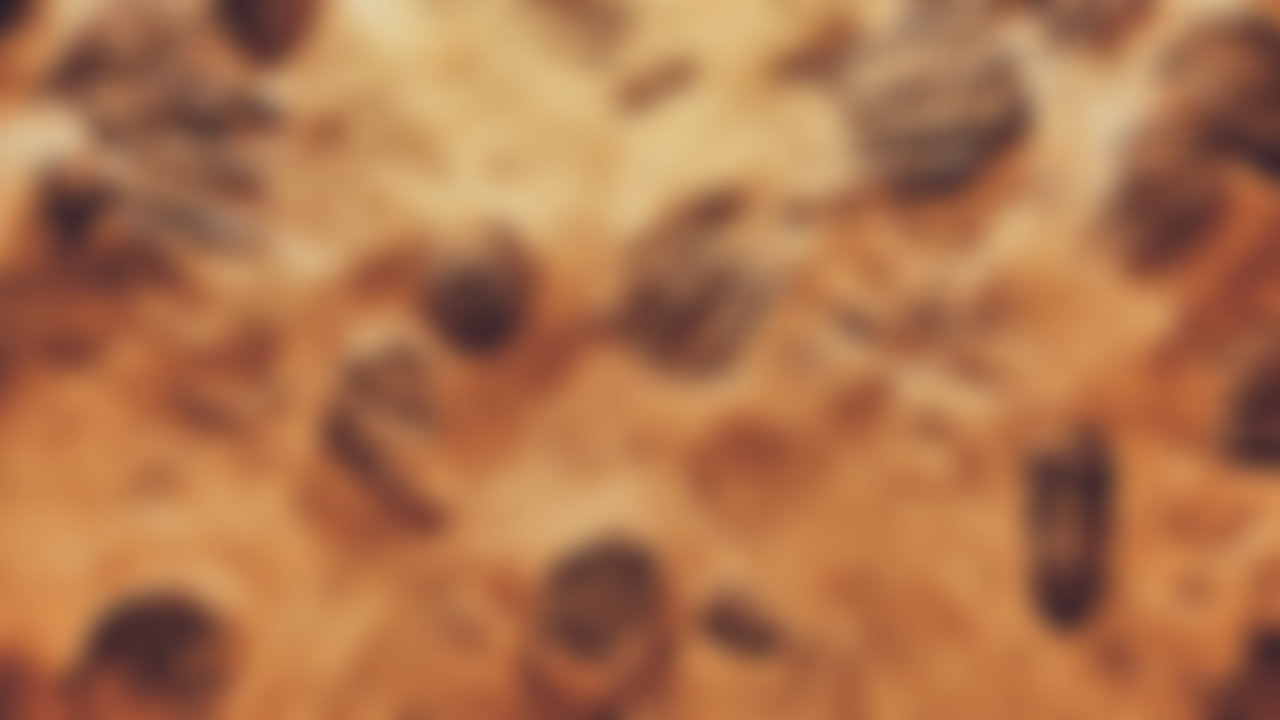 Creation Science UK | Charici