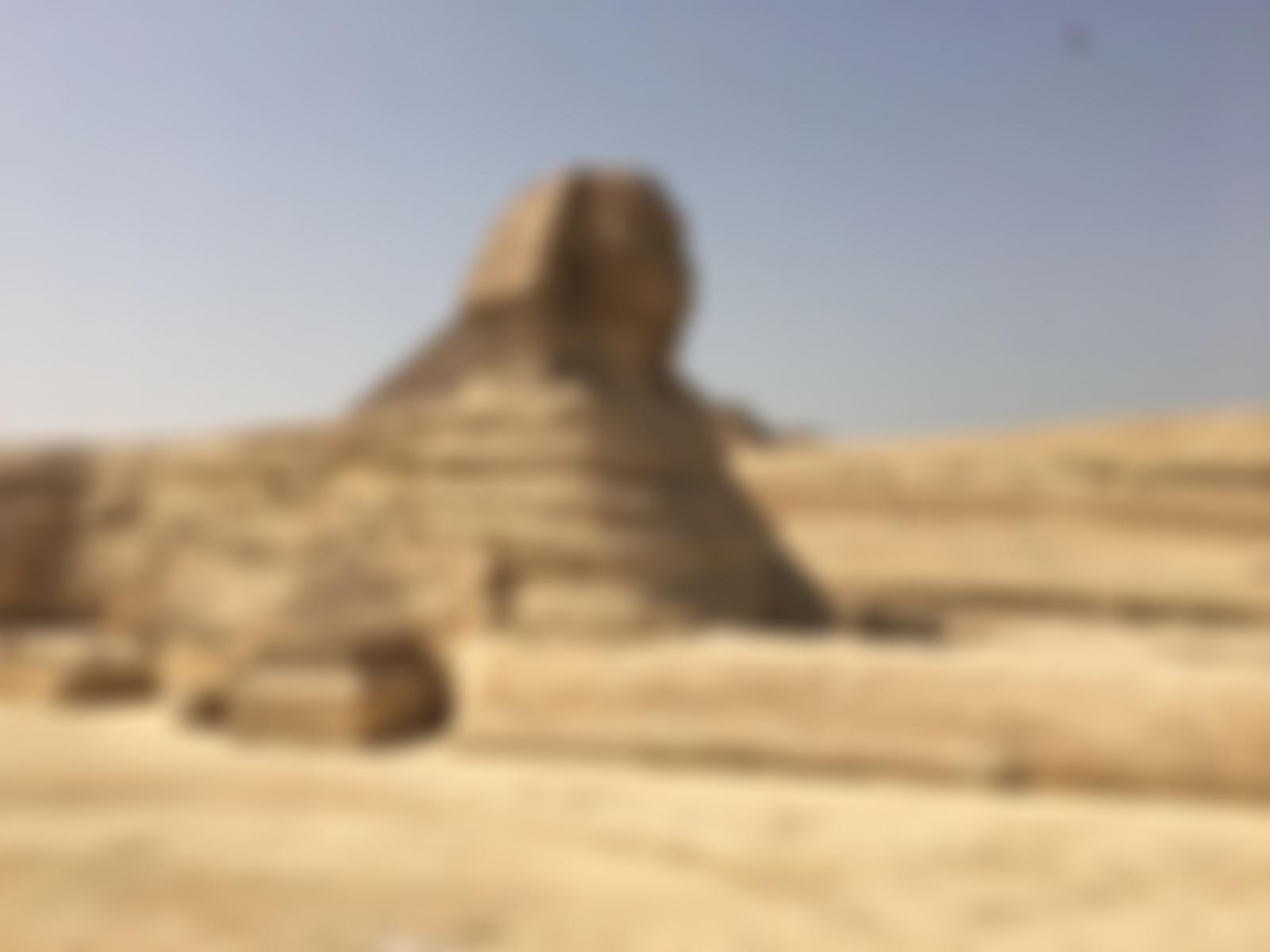 Egyptian Cultural Heritage Organisation (Echo) | Charici