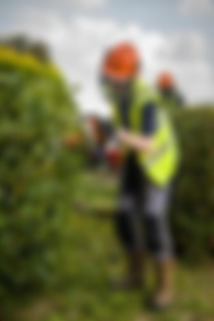 Just The Job Environmental Enterprises Limited | Charici