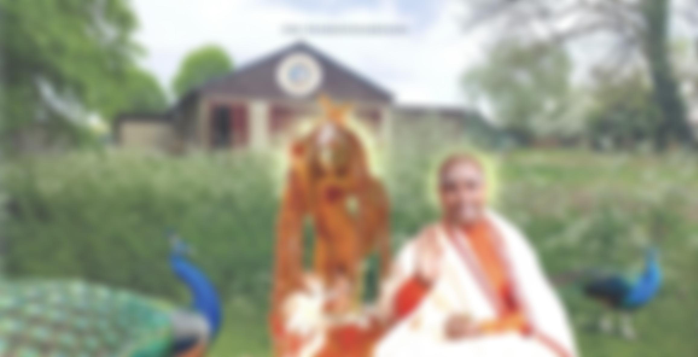 Om Saravanabhava Seva Trust | Charici
