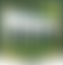 Stockport Schools' Brass Bands | Charici